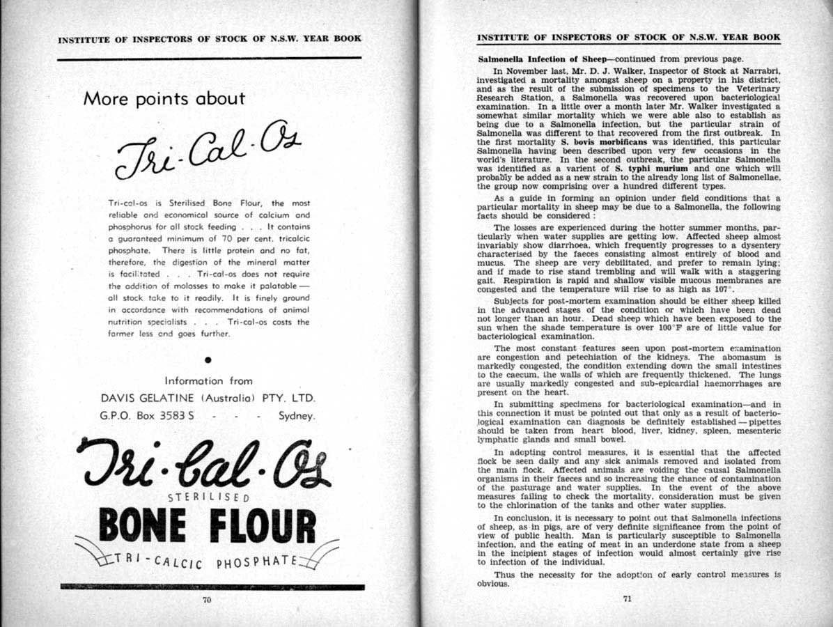 1939 Page 70 71